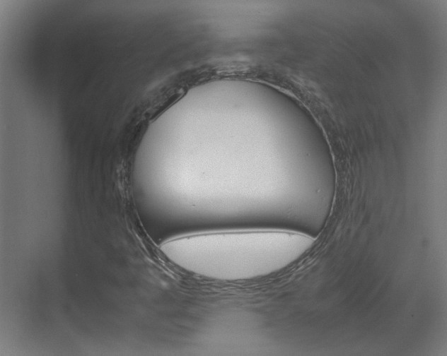 X0000070211445200605261050