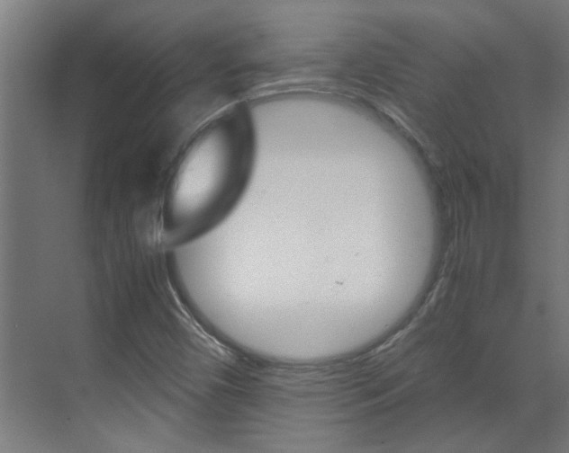 X0000070211450200605261049