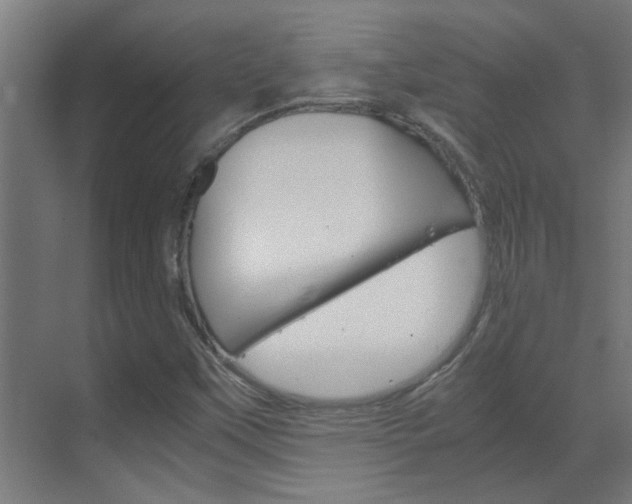 X0000070211451200605261049