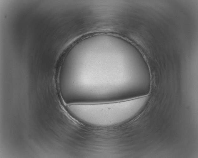 X0000070211452200605261049