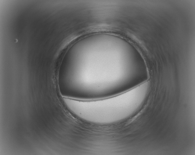 X0000070211453200605261049