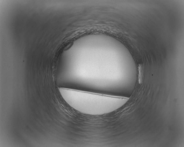 X0000070211491200605261048