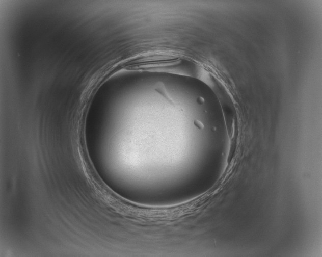 X0000070210001200605261304