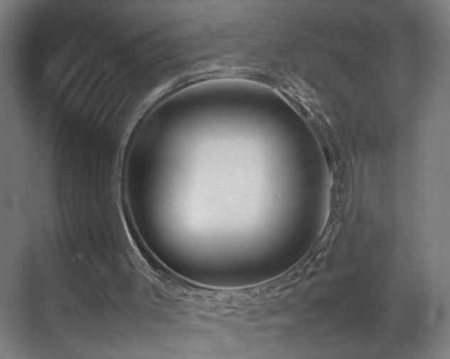 X0000070210003200605261304