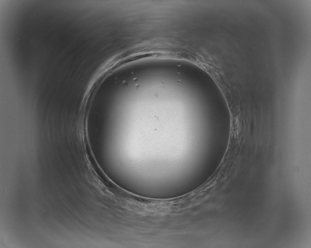 X0000070210004200605261304