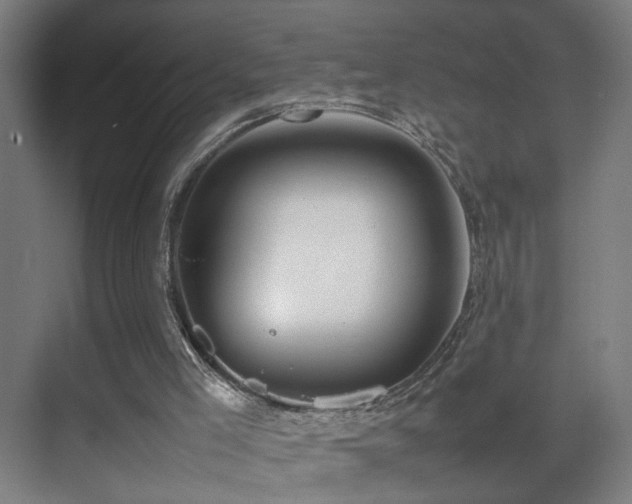 X0000070210005200605261304