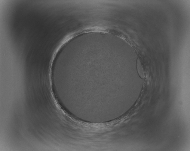 X0000070210006200605261304