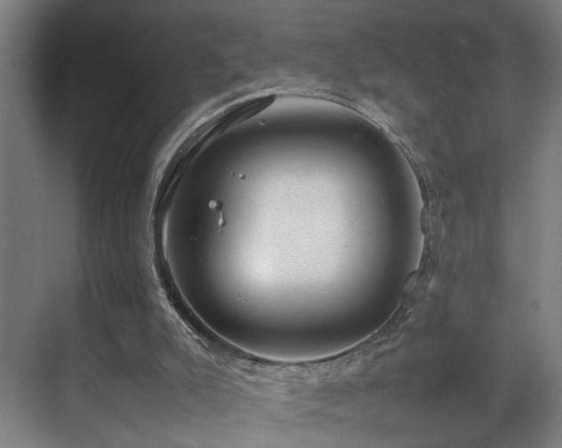 X0000070210007200605261304