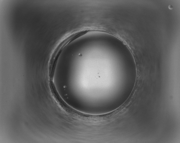 X0000070210008200605261304