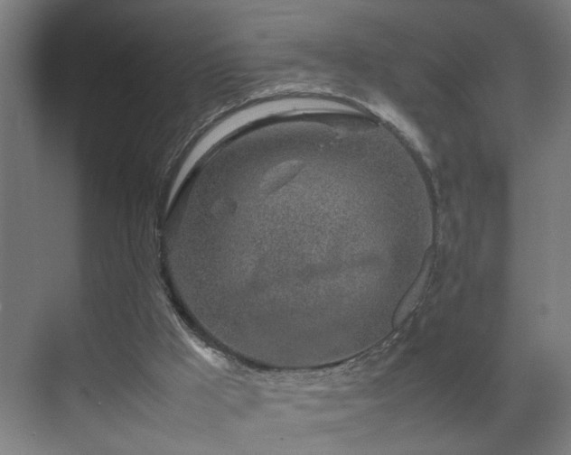 X0000070210009200605261304