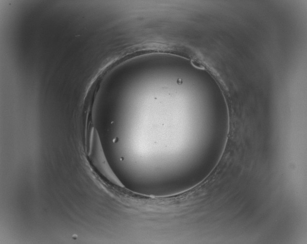 X0000070210011200605261304