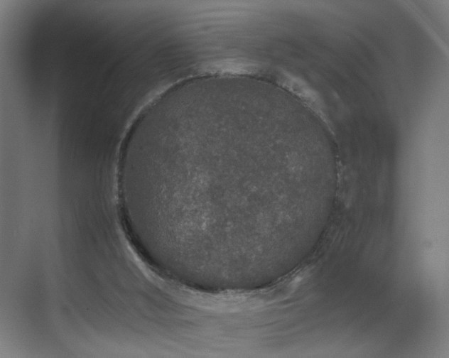 X0000070210012200605261304