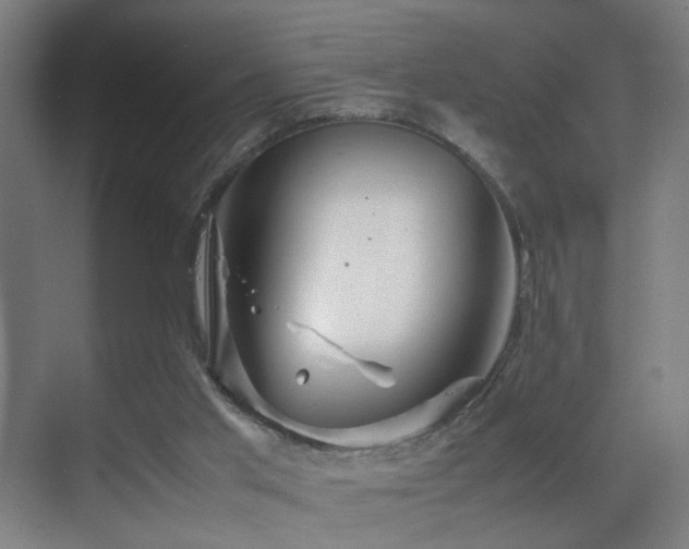 X0000070210013200605261304