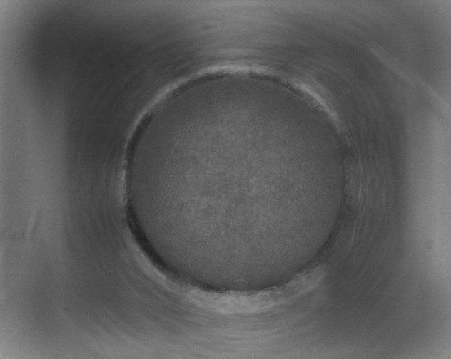 X0000070210016200605261304