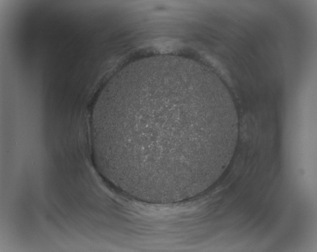 X0000070210018200605261304