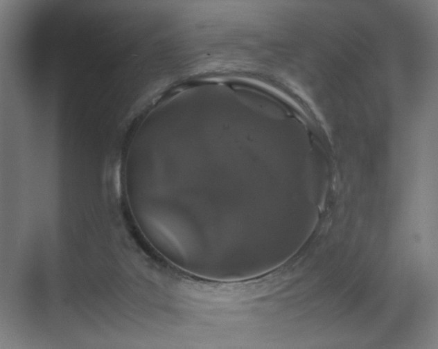 X0000070210019200605261304