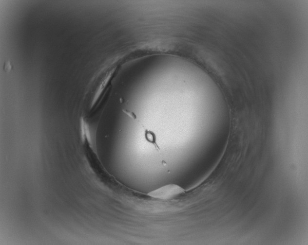 X0000070210020200605261304