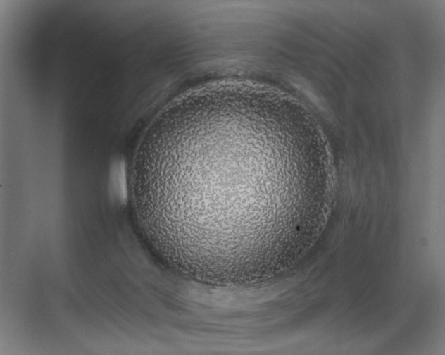 X0000070210022200605261304