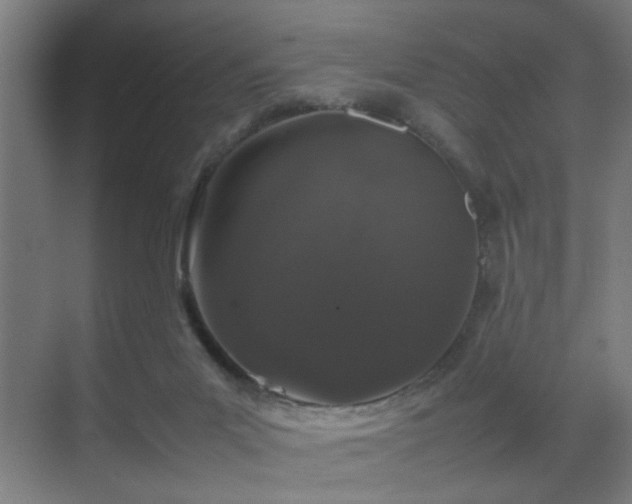 X0000070210023200605261304