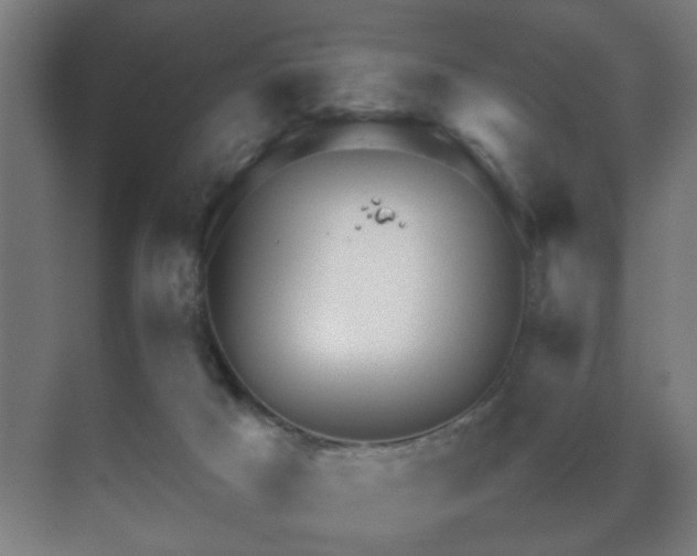 X0000070210025200605261303