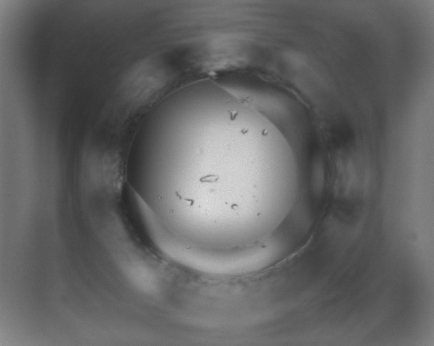 X0000070210029200605261303