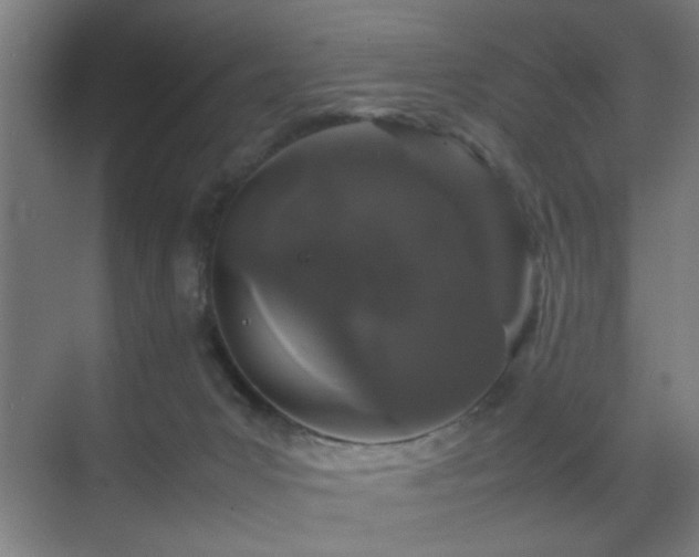 X0000070210031200605261303