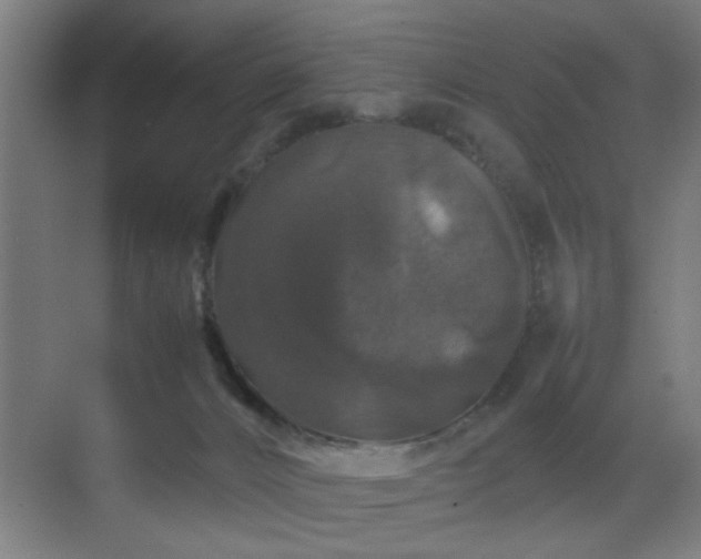 X0000070210032200605261303