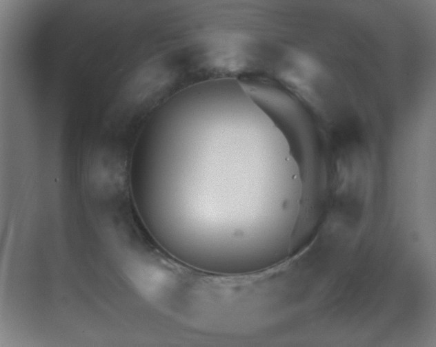 X0000070210033200605261303