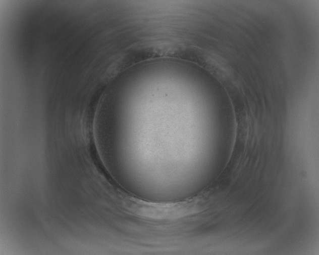 X0000070210034200605261303