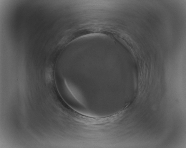 X0000070210035200605261303