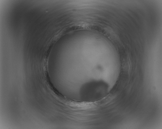 X0000070210036200605261303