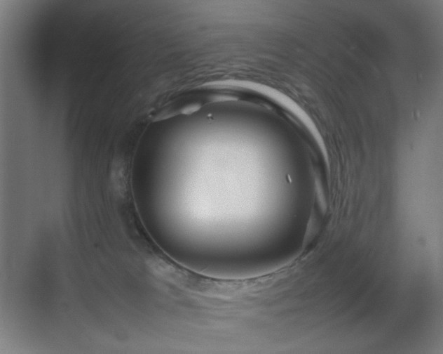 X0000070210037200605261303