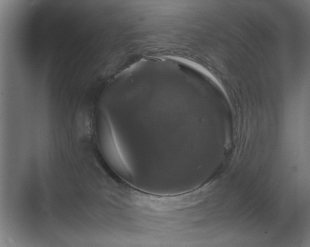 X0000070210039200605261303