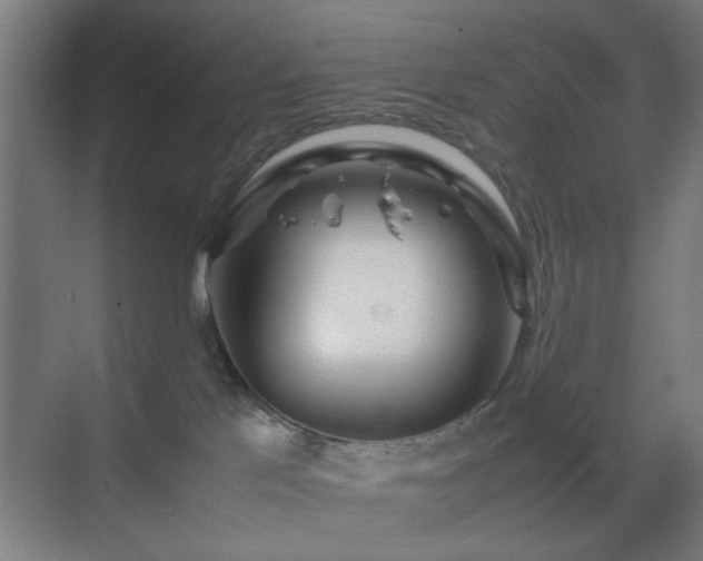 X0000070210041200605261303