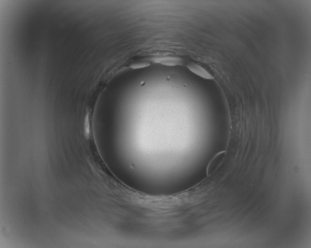 X0000070210042200605261303