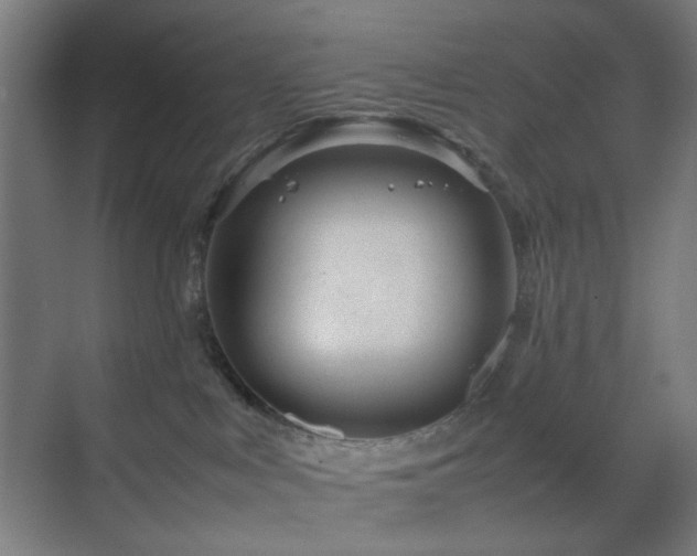 X0000070210043200605261303