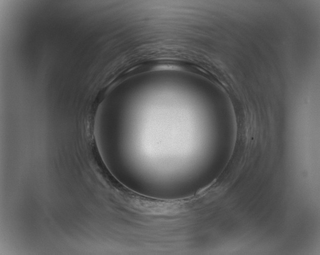 X0000070210044200605261303