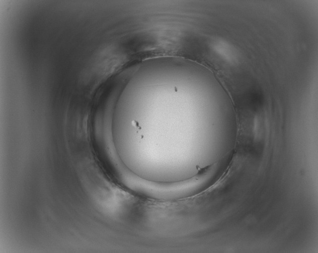 X0000070210045200605261303