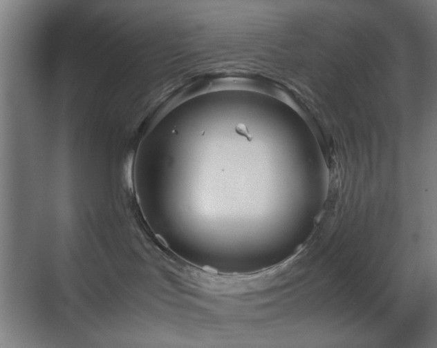 X0000070210047200605261303