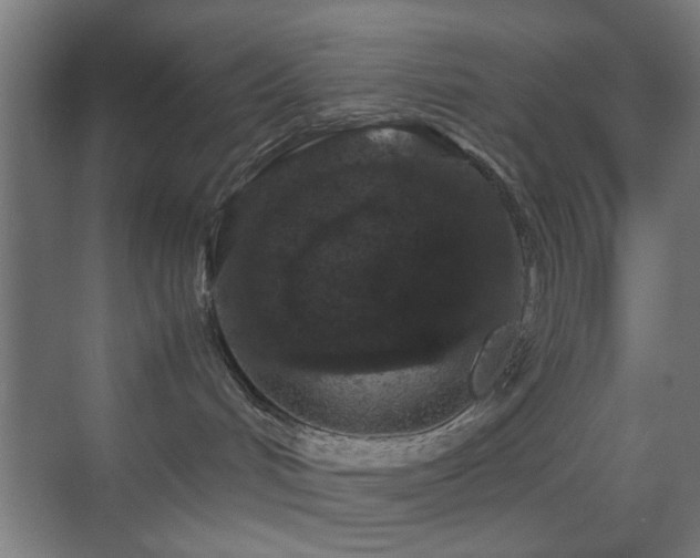 X0000070210048200605261303