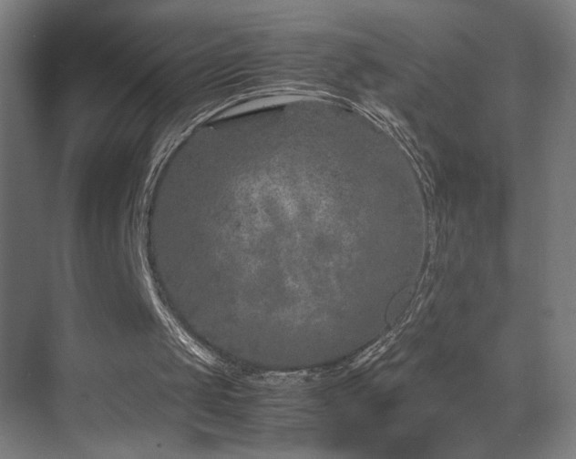 X0000070210049200605261302