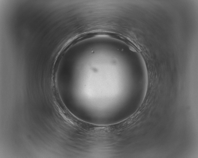 X0000070210050200605261302