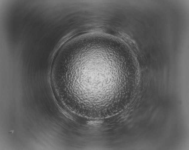 X0000070210051200605261302