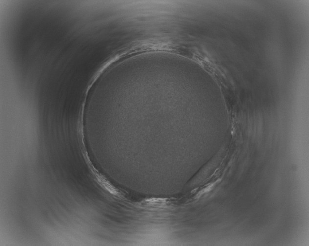 X0000070210052200605261302