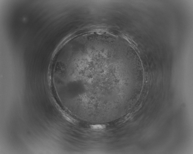 X0000070210053200605261302