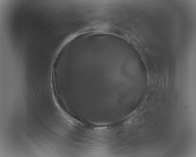 X0000070210054200605261302