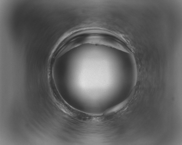 X0000070210056200605261302