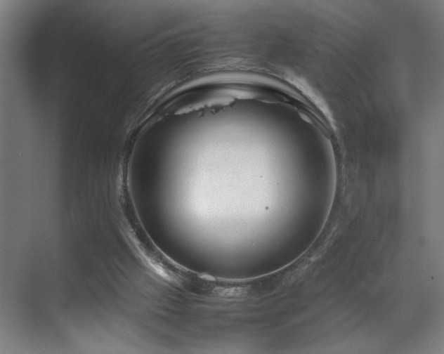 X0000070210057200605261302