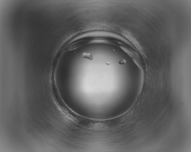 X0000070210058200605261302