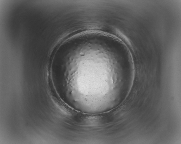 X0000070210059200605261302